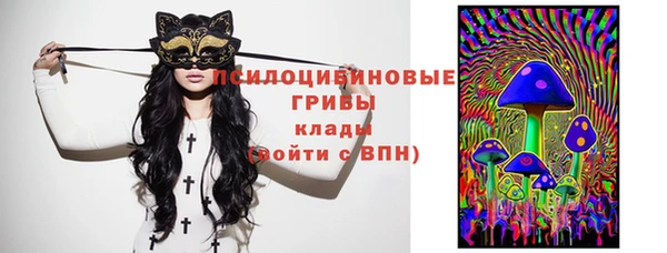 молекула духа Алзамай