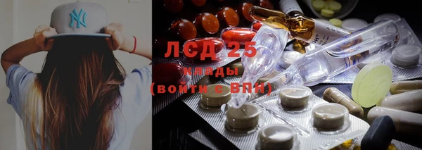 молекула духа Алзамай