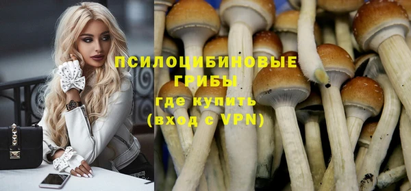 молекула духа Алзамай
