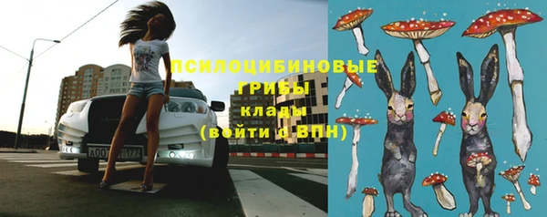мяу мяу кристалл Алексин