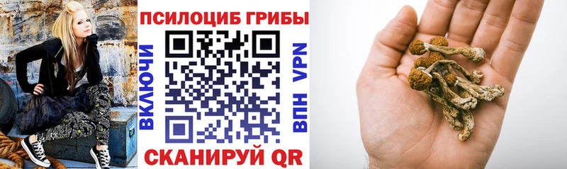 наркота  Воткинск  Галлюциногенные грибы мицелий 
